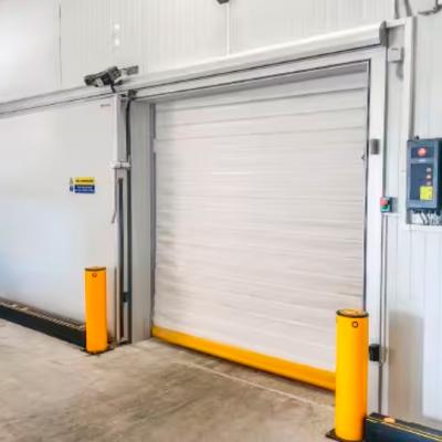 Doortec Puerta Rapida De Lona Pvc Friforifica 2